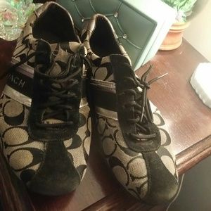 Coach Sneaker - Jayme